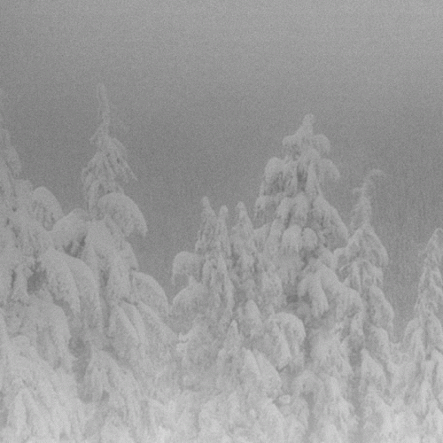 Vintlechkeit : Andas in Iden Dodliga Forkylningen​.​.​.